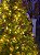 ÁRVORE PINHEIRO MAJESTADE 2,10CM COM 1082 GALHOS 350 LEDS COM BERRY E PINHA E COM BASE GIRATÓRIA - Imagem 11