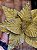 FLOR BICO DE PAPAGAIO DOURADO 30CM - Imagem 2