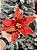 FLOR BICO DE PAPAGAIO VERMELHO COM DOURADO 28CM - Imagem 2
