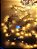PISCA FESTÃO 1500 LEDS 40 METROS WARM COM STROBO BRANCO FRIO BIVOLT - Imagem 2