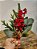 GALHO BERRY VERMELHO COM PINHA E GALHOS 35CM - Imagem 1