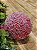 BOLA DECORADA BERRY NEVADO  - 10CM - C/1 - Imagem 2