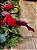 PÁSSARO CARDEAL VERMELHO - 15CM - Imagem 2