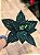 FLOR POINSETIA VERDE - 31CM - Imagem 2