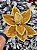 FLOR DECORATIVA POINSETIA OURO AVELUDADO 28CM - Imagem 2