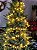 PISCA BOLINHA WARM 80 LEDS 5 METROS M/F 127V - Imagem 3