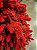ÁRVORE PINHEIRO ATHENAS VERMELHO 810 GALHOS 2,10CM - Imagem 5