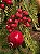 FESTÃO ARAMADO DECORADO COM BERRY PINHA E ROMÃ 1,50CM - Imagem 2