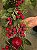 FESTÃO ARAMADO DECORADO COM BERRY PINHA E ROMÃ 1,50CM - Imagem 3