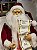 PAPAI NOEL COM LISTA DE NOMES COM MOVIMENTOS SOM E LUZ 70CM - Imagem 2
