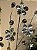 GALHO DECORATIVO ARAMADO PRATA COM FLORES DE CRISTAL 70CM - Imagem 6