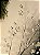 GALHO DECORATIVO ARAMADO COM FLORES DE CRISTAL E PEROLAS 70CM - Imagem 3