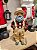PAPAI NOEL PESCADOR - COLECIONÁVEL - 28CM - Imagem 7