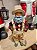 PAPAI NOEL PESCADOR - COLECIONÁVEL - 28CM - Imagem 5