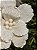 FLOR BICO DE PAPAGAIO AVELUDADO OFF WHITE 27CM - Imagem 2