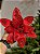 FLOR BICO DE PAPAGAIO AVELUDADO VERMELHO 27CM - Imagem 3