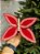 BORBOLETA AVELUDADO VERMELHO 25CM - Imagem 1