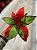 FLOR BICO DE PAPAGAIO VERMELHO E VERDE 26CM - Imagem 3
