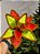 FLOR BICO DE PAPAGAIO VERMELHO E VERDE 28CM - Imagem 3