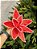 FLOR BICO DE PAPAGAIO VERMELHO CANDY 26CM - Imagem 1