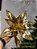 FLOR BICO DE PAPAGAIO DOURADO 29CM - Imagem 6