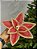 FLOR BICO DE PAPAGAIO VERMELHO E BEGE 26CM - Imagem 1