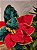 FLOR BICO DE PAPAGAIO VERDE E VERMELHO 28CM - Imagem 2
