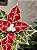FLOR BICO DE PAPAGAIO VERDE E VERMELHO 27CM - Imagem 2