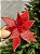FLOR BICO DE PAPAGAIO VERMELHO 25CM - Imagem 3