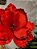 FLOR BICO DE PAPAGAIO AVELUDADO VERMELHO 35CM - Imagem 2
