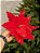 FLOR BICO DE PAPAGAIO AVELUDADO VERMELHO COM DOURADO 35CM - Imagem 1