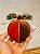 BOLA DECORADA AVELUDADA VERMELHO E MARROM 10CM C/1 UNID - Imagem 2