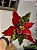 FLOR BICO DE PAPAGAIO VERMELHO E VERDE 30CM - Imagem 5