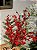 GALHO DECORATIVO BERRY COM PINHAS E FOLHAGENS VERMELHO 47CM - Imagem 2