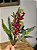 GALHO DECORATIVO BERRY NEVADO 33CM - Imagem 1