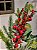 GALHO DECORATIVO BERRY NEVADO 33CM - Imagem 2
