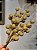 GALHO DECORATIVO BERRY DOURADO MATTE 25CM - Imagem 3