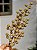 GALHO DECORATIVO BERRY DOURADO MATTE 45CM - Imagem 1