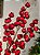 GALHO DECORATIVO ARAMADO MINI ROMÃ VERMELHO 75CM - Imagem 2