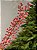 GALHO DECORATIVO BERRY FLOCKED VERMELHO 75CM - Imagem 3