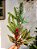 GALHO DECORATIVO FOLHAGENS COM PINHA E BERRY 50CM - Imagem 3