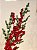 GALHO DECORATIVO BERRY E FOLHAS 50CM - Imagem 2