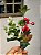 GALHO DECORATIVO PICK BERRY COM PINHA VERMELHO 28CM - Imagem 1