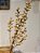 GALHO DECORATIVO BERRY PEROLADO BEGE 58CM - Imagem 1
