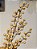 GALHO DECORATIVO BERRY PEROLADO BEGE 58CM - Imagem 2