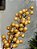 GALHO DECORATIVO BERRY PEROLADO BEGE 45CM - Imagem 2
