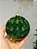 PENDENTE ORNAMENTOS DE VIDRO VERDE 10CM C/ 2 UNIDS - Imagem 3
