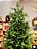 ÁRVORE PINHEIRO ESMERALDA 1012 GALHOS 450 LEDS WARM 2,10CM COM FUNÇÕES - Imagem 3