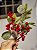 GALHO DECORATIVO BERRY VERMELHO COM FOLHAS E PINHA 29CM - Imagem 3