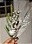 GALHO DECORATIVO BERRY BRANCO COM FOLHAS 44CM - Imagem 1
